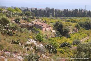 ntano Lentini-30-04-2017 21-18-22